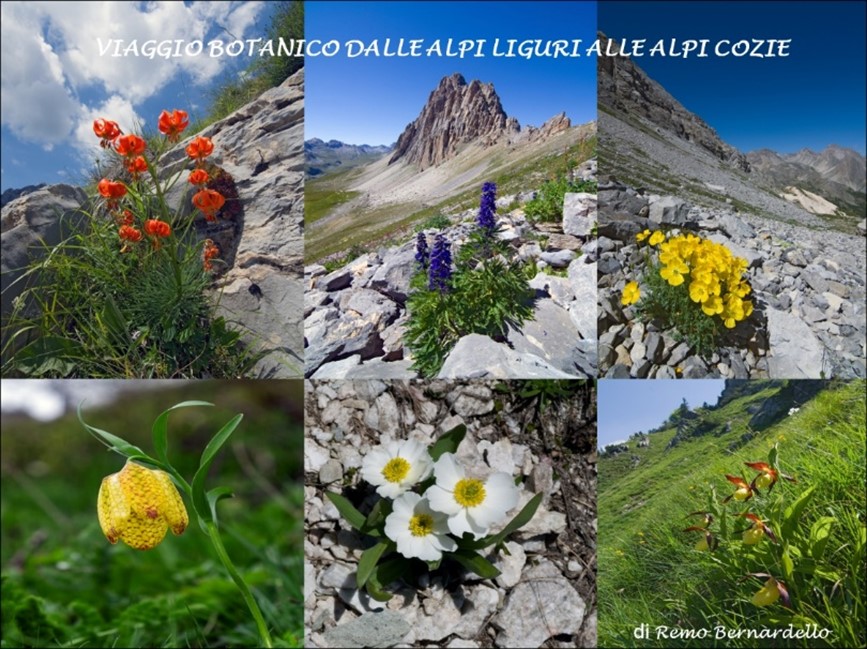Giovedì 9 novembre 2023